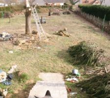 Nettoyage du terrain