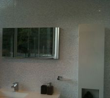 Notre future fa&iuml;ence (photo prise dans le magasin)