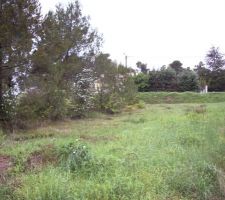 Voici une partie du terrain brute