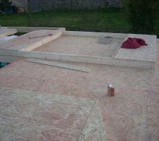 Fabrication des murs du 1er &eacute;tage.