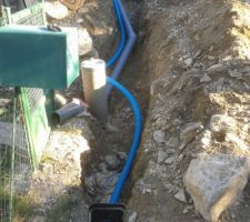 Eau   TA branchés