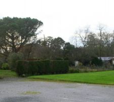 Voici le terrain, la cloture que l'on voit est la limite de terrain (sur le plan de masse la limite du haut), le pin parasol &eacute;tant le fond du terrain (qui sera face &agrave; la baie du salon quasiment)