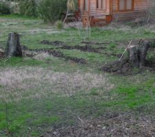 Nettoyage du terrain