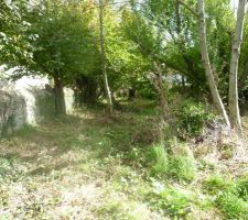 Nettoyage du terrain