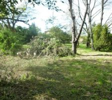 Nettoyage du terrain