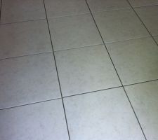 Carrelage séjour - cuisine