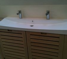 Vasque de la salle de bain