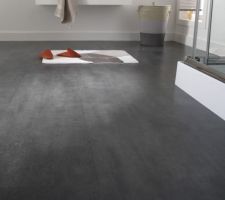 La stratifié que l'on aura dans les pièces à vivre