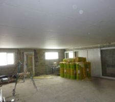 Plaquage du salon