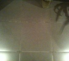 Humidité joint carrelage