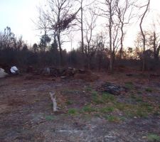 Le jardin y'a vraiment du boulot!