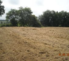 Notre terrain !!!
Magnifique ^^