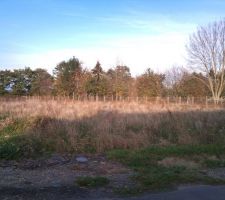 Voici le terrain, on se rend pas trop compte de la grandeur, mais je vous assure, y a de la place ou se tourner