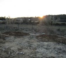 Voici le nouvel emplacement des oliviers de l'entr&eacute;e, que nous avions d&eacute;gag&eacute;s quelques jours avant.