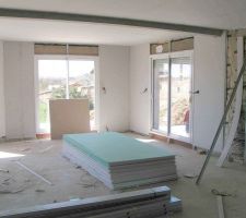 Le placo. Tout est un placostyle (un peu plus cher que le placoplan). On voit bien le placo hydrophuge pour les pi&egrave;ces d'eau.