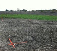 Implantation de la maison sur le terrain