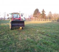 Nettoyage du terrain