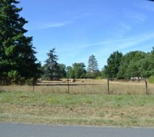 Beau terrain plat d'environ 8500 m2, la tranquilit&eacute; quoi et des heures de tonte mais le bonheur n'a pas de prix!!!!
