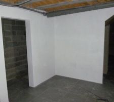 Peinture des murs de cave: murs peints