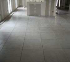 Pour le carrelage nous avons consult&eacute; la gamme qui &eacute;tait dans le contrat c'&eacute;tait vraiment pas terrible. Nous en avons pris une gamme sup&eacute;rieur le pb avec Maisons de pays c'est que nous sommes oblig&eacute;s d'aller chez Porcelanosa et c'est vraiment hors de prix. Nous avons au au final une tr&egrave;s grosse plus value carrelage ( pose   fourniture). Il faut &ecirc;tre vigilant car ce qui est au contrat c'est vraiment le strict minimum.