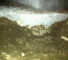 Quelqu'un est pass&eacute; aujourd'hui pour d&eacute;gager la fondation
surprise y a pas le b&eacute;ton n&eacute;cessaire !!