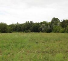 Notre terrain encore.