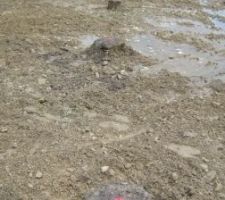 Décaissage des pieux sur notre terrain