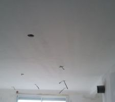 Peinture d'un des nombreux plafonds