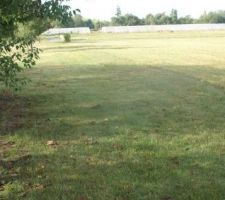 Voici le terrain en forme de diamant avec vue sur les moutons, en bord du Tarn.