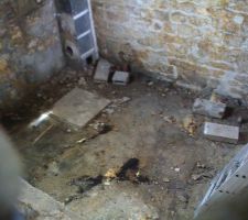 Enfin la cave est démunie de cuve et de chaudiere oufff