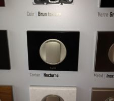 On hésite sur le modele d'interrupteur ... Metal INOX ou NOIR !!!! 

Le budget choisira pour nous !!!