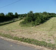 Terrain