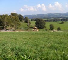 Donc voici le terrain pour lequel nous avons craqu&eacute;s ... expos&eacute; plein sud ! que pensez vous de la vue ?