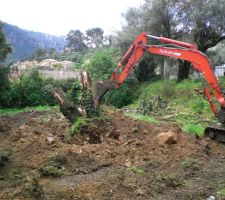 Premiers coups de pelle