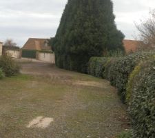 Entr&eacute;e du terrain