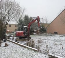 Arrachage des souches; c'est parti !!! Et sous la neige...