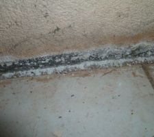 Givre supposé dans le sous-sol