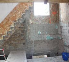 Ici vécut une salle de bain et un escalier, enfin 2 escaliers...