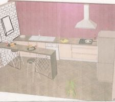 Projet du plan snack qui prend appui sur le mur de soutient. La cuisine est ouverte sur la piece a vivre...