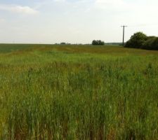 Voici le lieu choisi