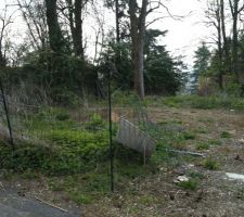 Voici le terrain tel que nous l'avons achet&eacute;
