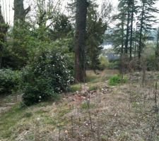 L'extr&eacute;mit&eacute; basse du terrain.