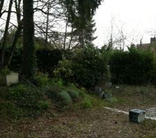 Vue du milieu du terrain avant abattage des arbres.