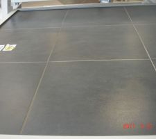 Choix carrelage gris anthracite rdc