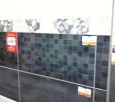 Choix fa&iuml;ence sdb parentale