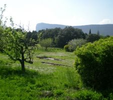 petites maisons dans la prairie