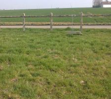 Premi&egrave;re visite du terrain