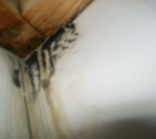 Infiltration et moisissure sous baignoire