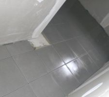 Carrelage sdb principale