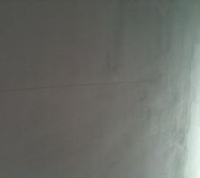 Fissure plafond salon